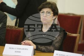 Парламент - комисия - Рена Стефанова - заседание 