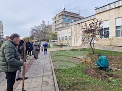 Разград - дърво - библиотека