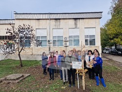 Разград - дърво - библиотека