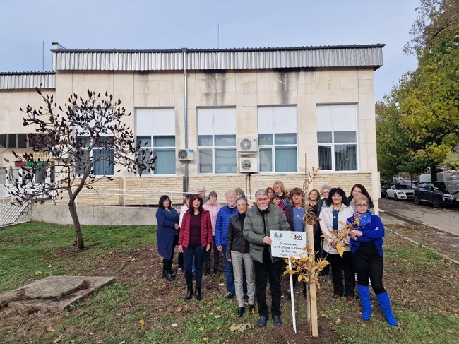 Колективът на библиотеката в Разград засади дърво по повод на 155-годишнината на културната институция