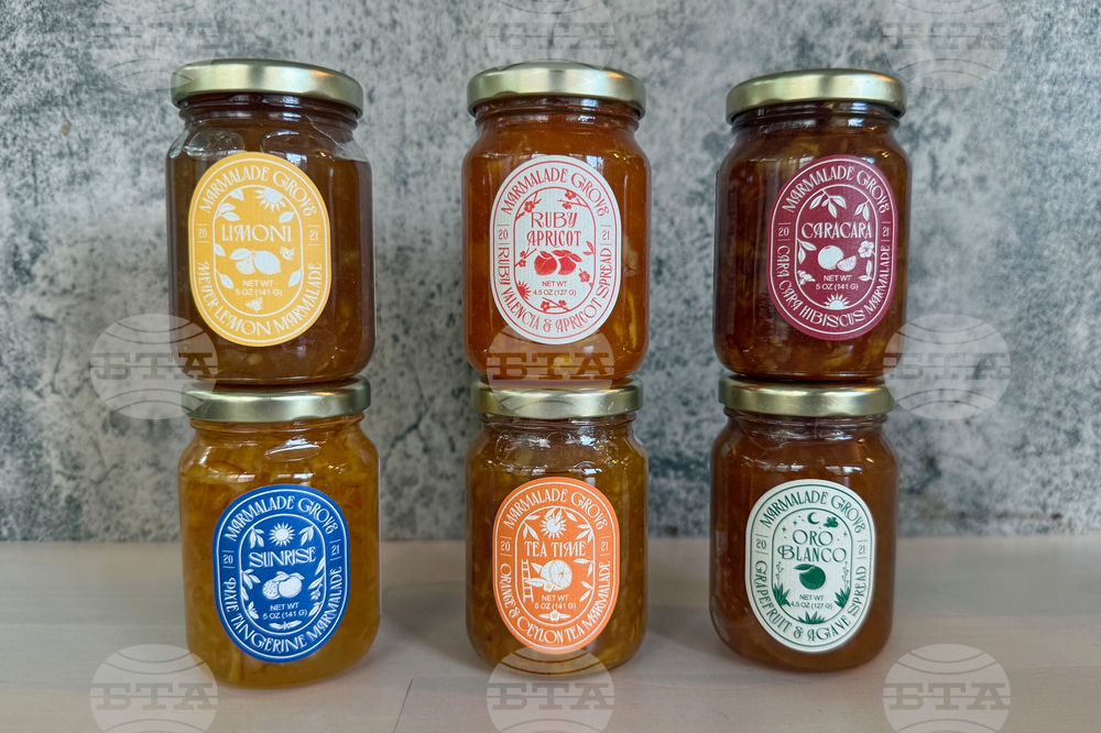 Holiday Gift Guide-Taste of Home