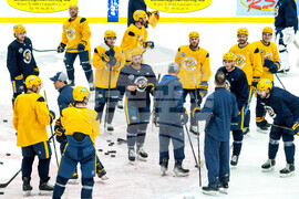 Nashville Predators