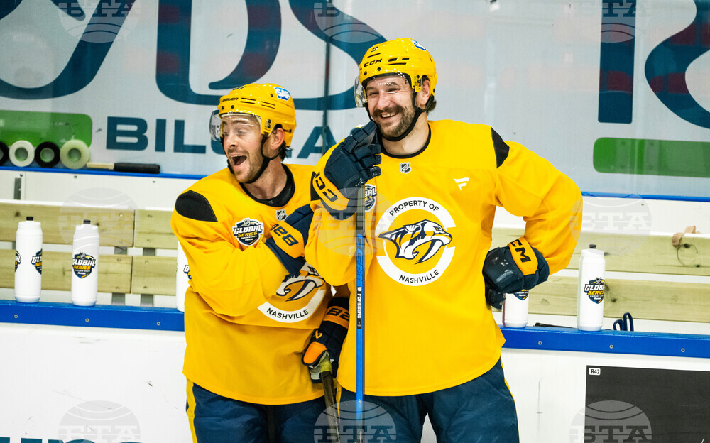 Nashville Predators