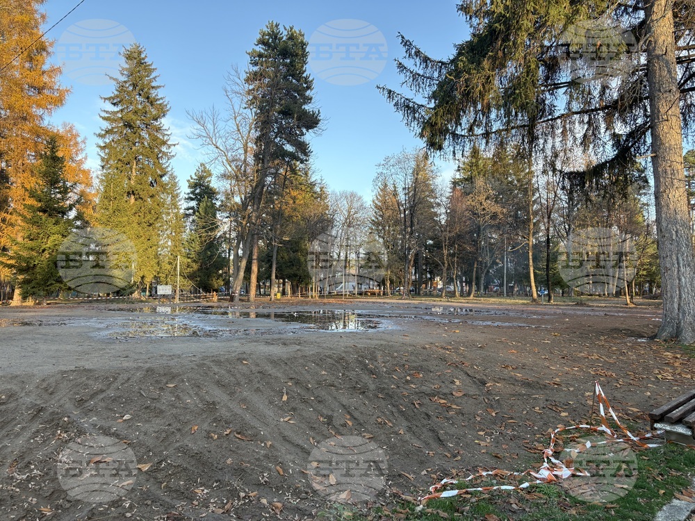 Ледената пързалка в Самоков ще бъде преместена в Туристическата градина тази година и разширена