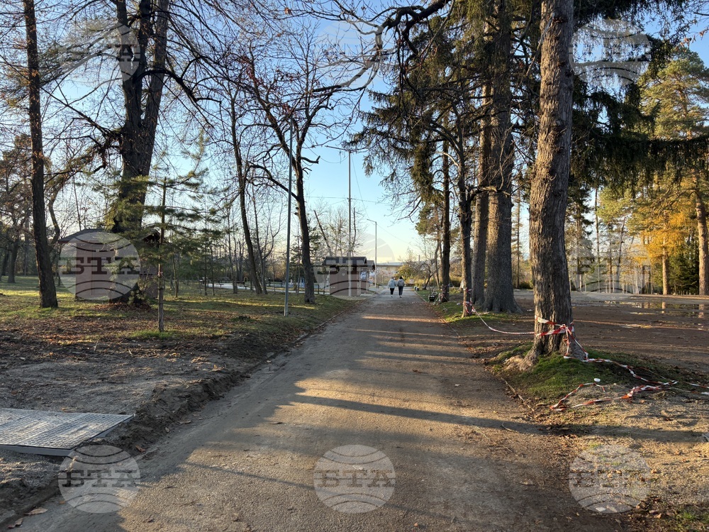 Две възрастни жени са в болница, след като са блъснати от автомобил в Самоков, едната е с опасност за живота