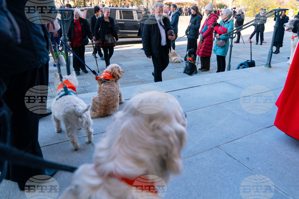 Jane Goodall Funeral