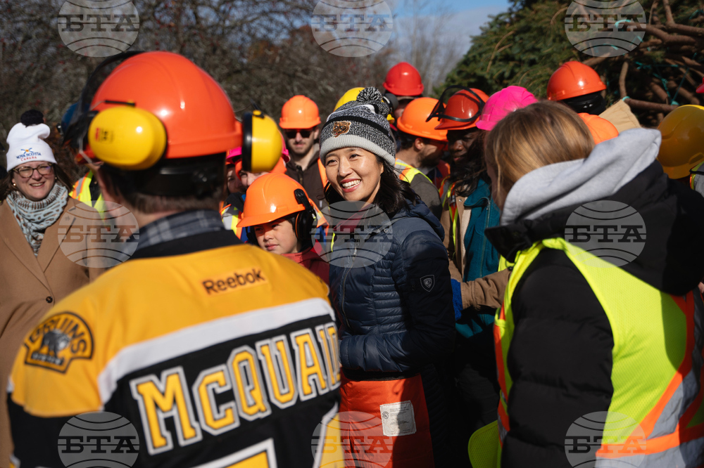 Canada Boston Christmas Tree