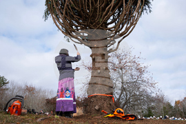 Canada Boston Christmas Tree