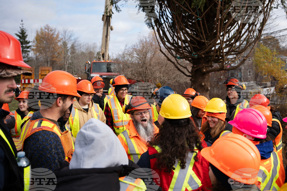 Canada Boston Christmas Tree