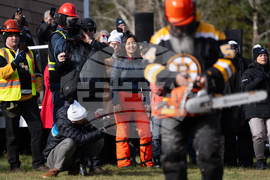 Canada Boston Christmas Tree