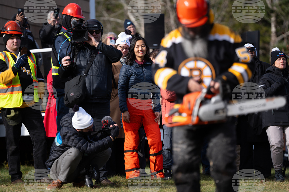 Canada Boston Christmas Tree