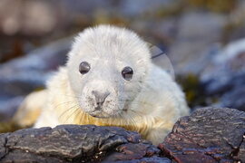 APTOPIX Britain Daily Life