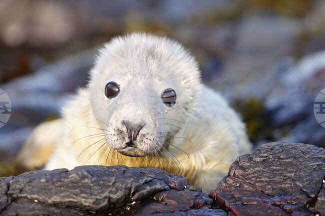 APTOPIX Britain Daily Life