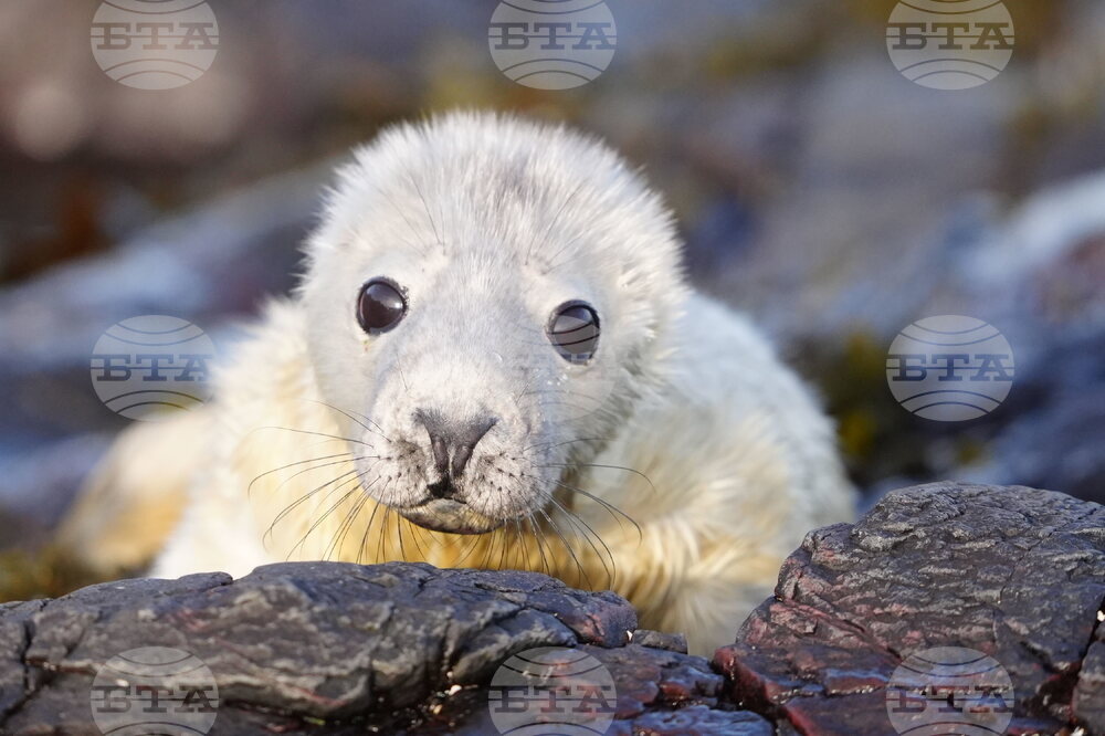 APTOPIX Britain Daily Life