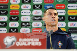 Ireland Portugal World Cup Soccer