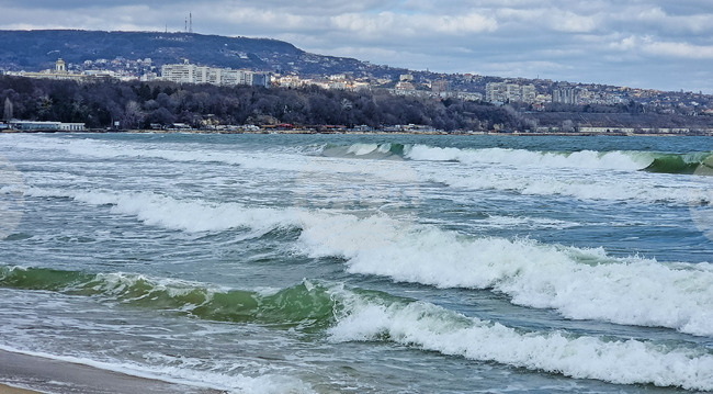 Authorities Investigate Seawater Pollution Report in Varna
