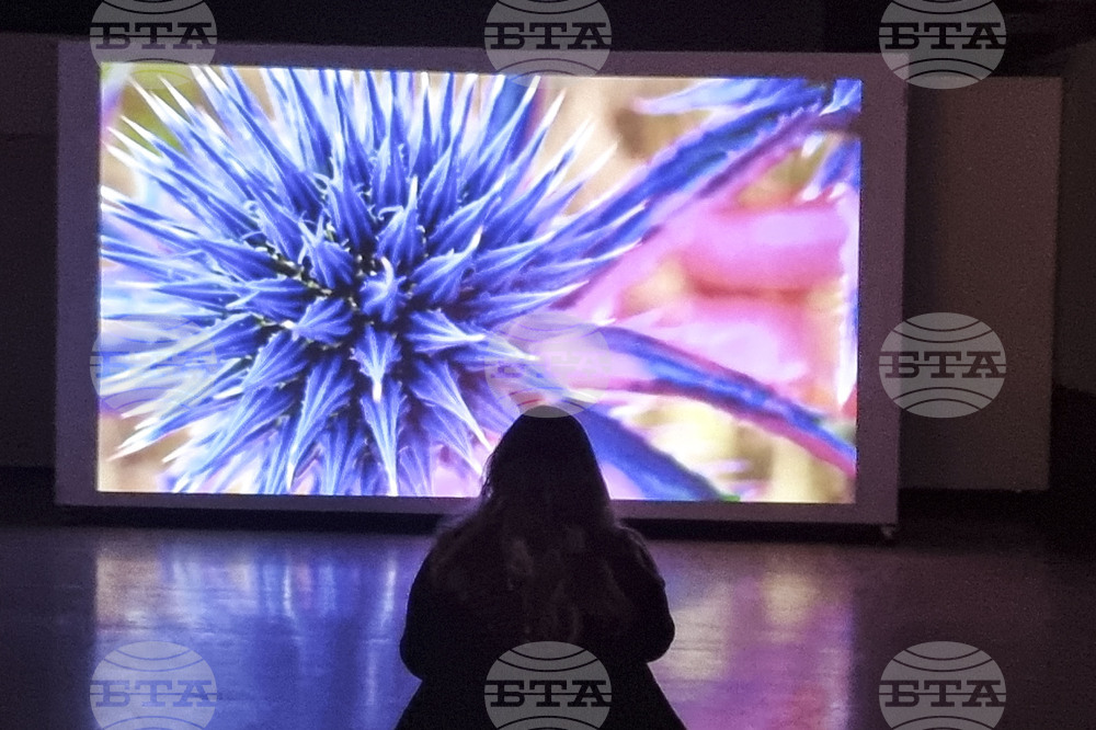 Северна Македодия - Скопие - „Колективна културна памет“ - изложба