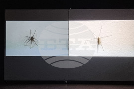 Северна Македодия - Скопие - „Колективна културна памет“ - изложба