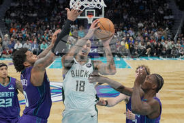 Bucks Hornets Basketball