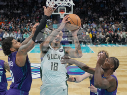 Bucks Hornets Basketball
