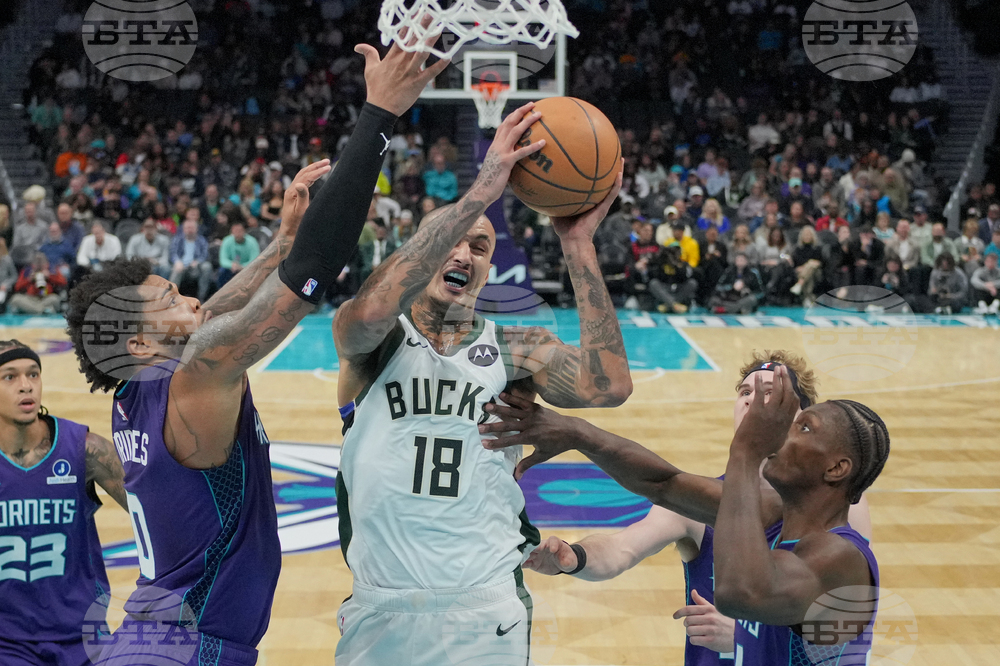 Bucks Hornets Basketball