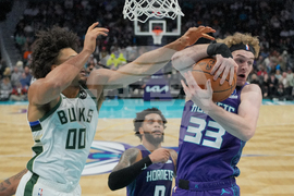Bucks Hornets Basketball