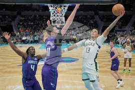 Bucks Hornets Basketball