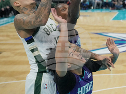 Bucks Hornets Basketball