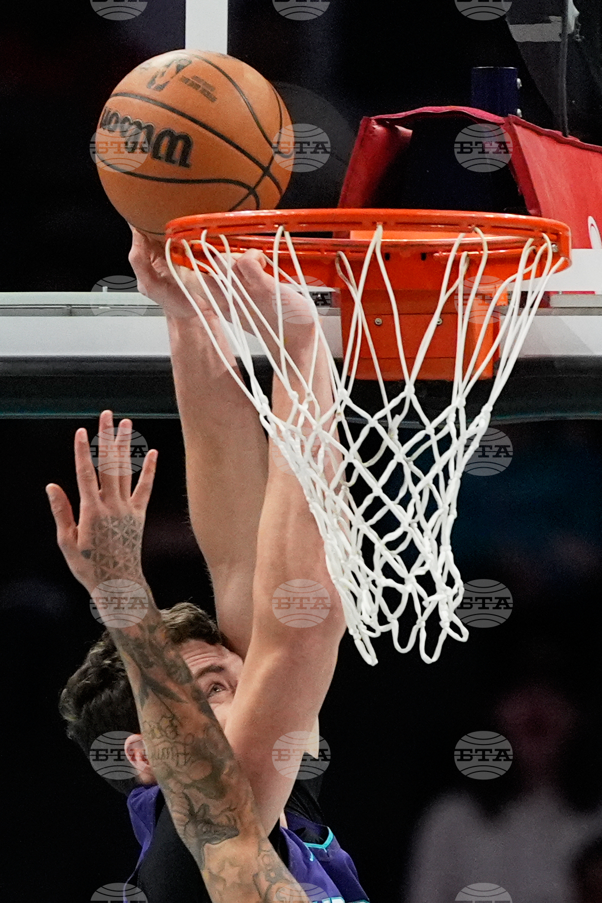 Bucks Hornets Basketball