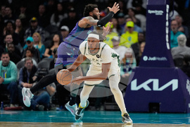 Bucks Hornets Basketball