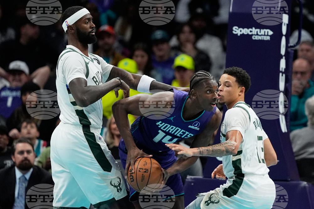 Bucks Hornets Basketball