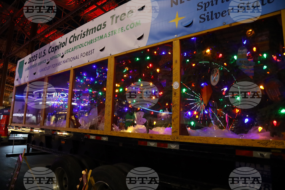 Verizon Business 2025 St. Louis U.S. Capitol Christmas Tree Stop