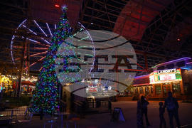 Verizon Business 2025 St. Louis U.S. Capitol Christmas Tree Stop