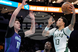 Bucks Hornets Basketball