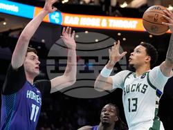 Bucks Hornets Basketball