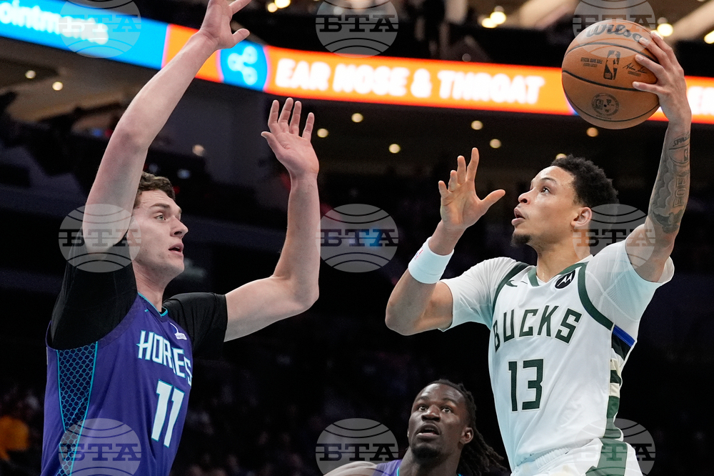 Bucks Hornets Basketball