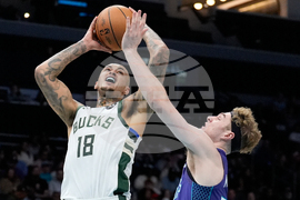 Bucks Hornets Basketball