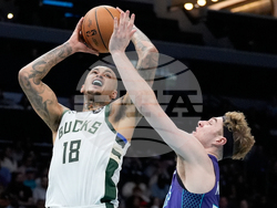 Bucks Hornets Basketball