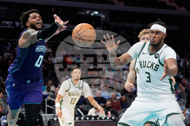 Bucks Hornets Basketball