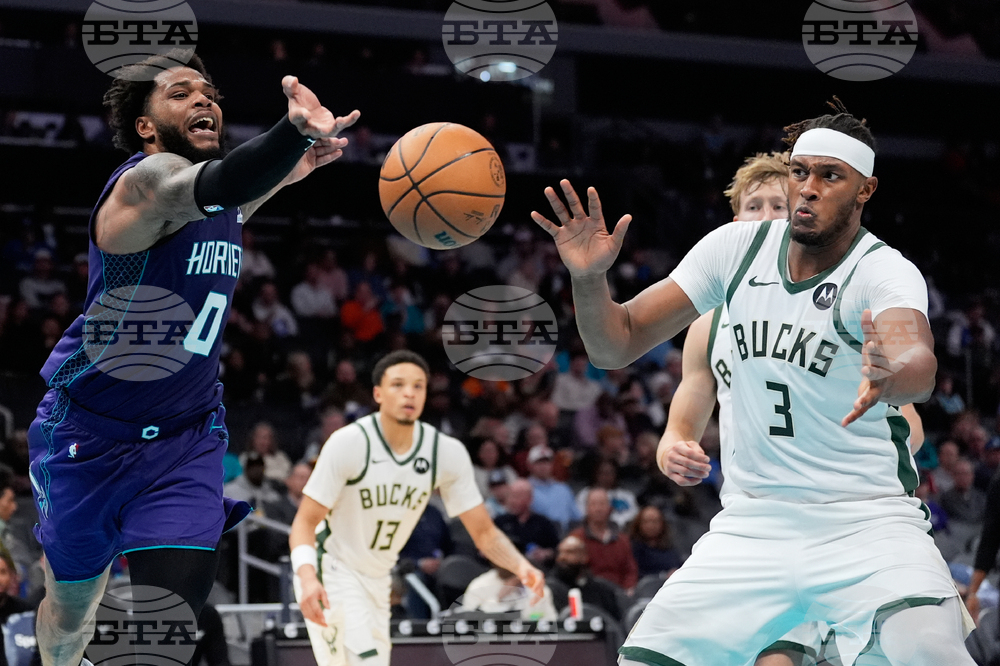 Bucks Hornets Basketball