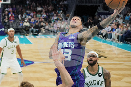 Bucks Hornets Basketball