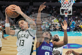 Bucks Hornets Basketball