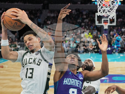 Bucks Hornets Basketball