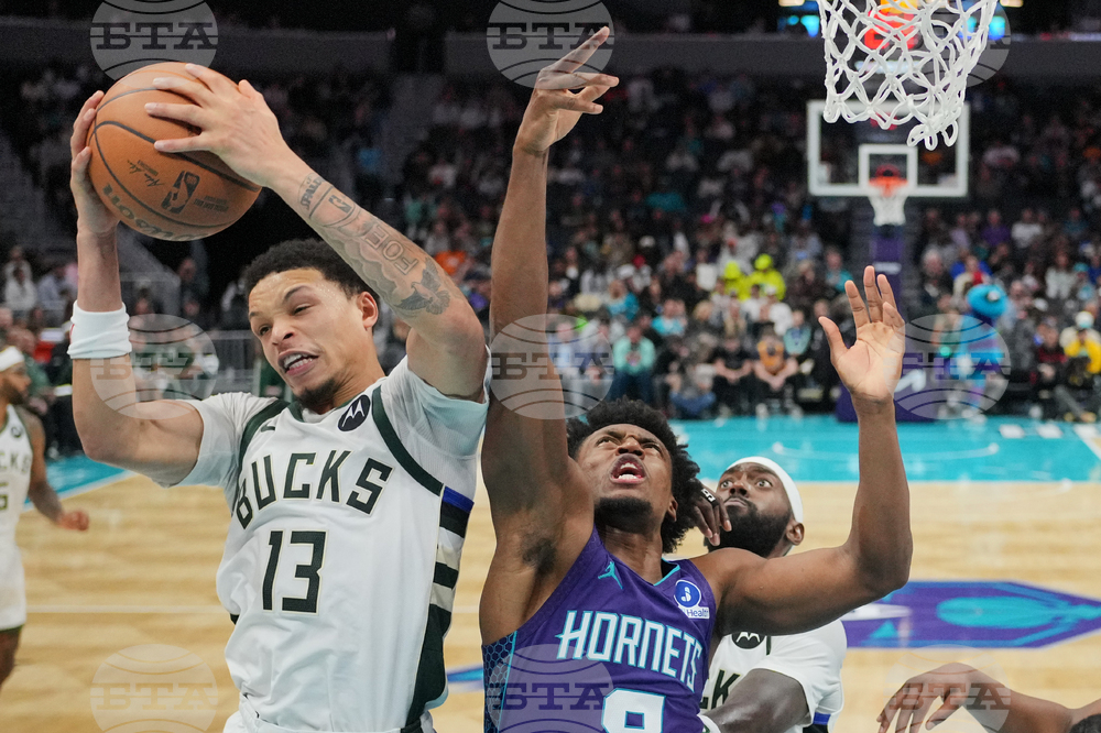 Bucks Hornets Basketball