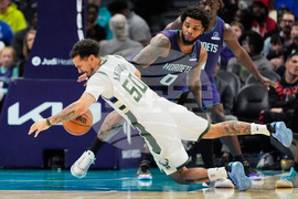 Bucks Hornets Basketball