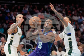 Bucks Hornets Basketball