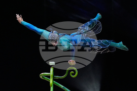 Mexico Cirque du Soleil