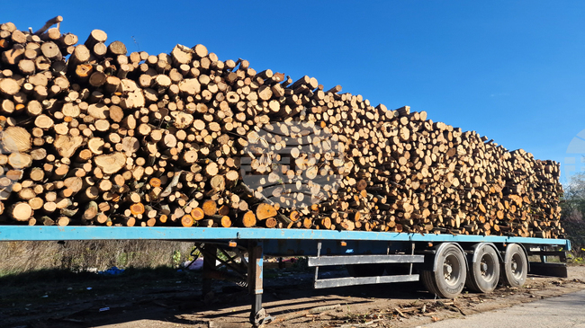 В седмицата между Коледа и Нова година търговията на Софийската стокова борса беше предимно на енергоносители
