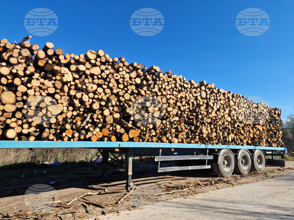 В седмицата между Коледа и Нова година търговията на Софийската стокова борса беше предимно на енергоносители