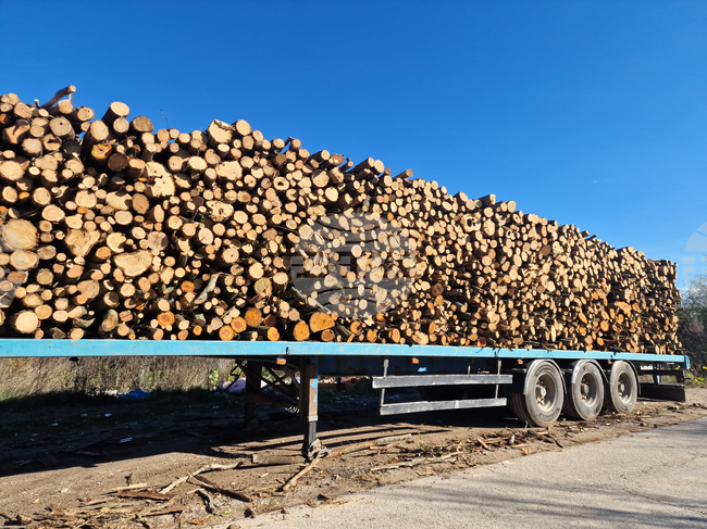 В седмицата между Коледа и Нова година търговията на Софийската стокова борса беше предимно на енергоносители